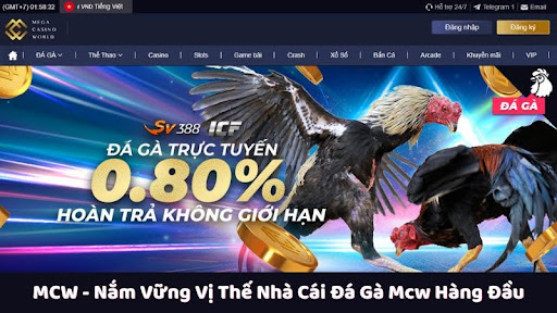 mcw - nắm vững vị thế nhà cái đá gà mcw hàng đầu