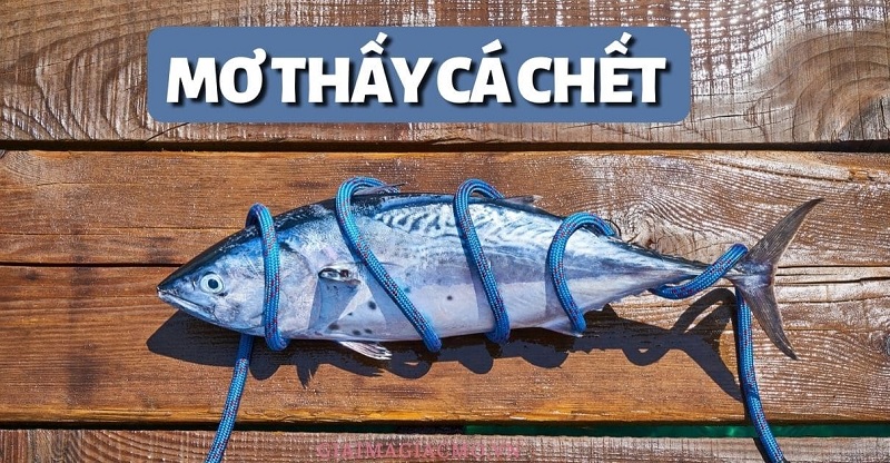 mơ thấy cá