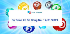 Dự đoán Xổ số Đồng Nai 17/01/2024 - Soi cầu XSDN Thứ 4 chính xác